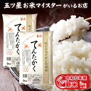 新米 令和6年産 富山県産 10kg (5kg×2袋) 富山県産てんたかく 精米 分づき米 贈り物 白米 10キロ 令和6年 入学内祝い 入園祝い 卒業祝い ギフト 御歳暮 お米 プレゼント お歳暮ギフト 引っ越し 挨拶 仕送り ご飯 年寄り 一人暮らし お米ギフト 食品 食べ物 名入れ のし対応