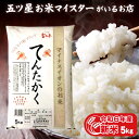 新米 令和6年産 米 富山県産 てんたかく 5kg お米ギフト 分づき米 精米 常温 贈り物 白米 5キロ 令和6年 御歳暮 お米 プレゼント 仕送り ご飯 引っ越し 挨拶 ギフト 年寄り 一人暮らし 食品 お歳暮ギフト 入学内祝い 卒業祝い 食べ物 名入れ のし対応