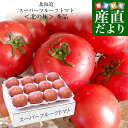 北海道より産地直送 下川町のスーパーフルーツトマト <北の極> 秀品 約800g LからSサイズ(8玉から15玉)送料無料 とまと