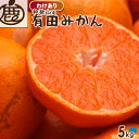 順次発送中! 訳あり 有田みかん 5kg 【 送料無料 わけあり 温州みかん KS 有田 みかん ミカン お得 産地直送 和歌山 お取り寄せ 家庭用 】