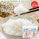 お米 米 令和6年産 山形県産 はえぬき無洗米10kg(5kg×2) ※一部地域は別途送料追加 お米 コメ 米 JA rhm1006