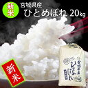 『新米予約』☆令和6年産 本場 宮城県産 ひとめぼれ 20kg 玄米 5分 7分 精白米(精米時重量約1割減) 20kg 【白米 ヒトメボレ お米 ごはん ご飯 精米 産地直送 米処 美味しい おこめ こめ 新米】