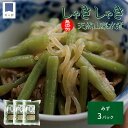 11日9:59まで10%ポイント還元★山菜 みず 水煮 100g 3パック 秋田 国産 天然 ミズ ウワバミソウ 無添加 国産山菜 秋田県産 天然山菜 山菜水煮 添加物不使用 保存料不使用 山の幸 送料無料 ポイント消化 買いまわり クロネコゆうパケット