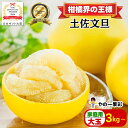 日本ギフト大賞受賞】【予約早割10%OFF】園主こだわり土佐文旦 家庭用 大玉 3kg～ (2025年2月1日発送開始 )文旦 ぶんたん ブンタン 高知 みかん 国産みかん 果物 柑橘 フルーツ 訳あり 旬 冬 春 美味しい 甘い お取り寄 ふるさと納税 人気