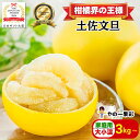 【日本ギフト大賞受賞】【予約早割10%OFF】園主こだわり土佐文旦 家庭用 大小混合 3kg～ (2025年2月1日発送開始 )文旦 ぶんたん ブンタン 高知 みかん 国産みかん 果物 柑橘 フルーツ 訳あり 旬 冬 春 美味しい 甘い お取り寄 ふるさと納税 人気