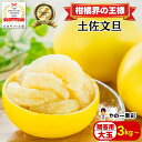 【日本ギフト大賞受賞】【予約早割10%OFF】園主こだわり土佐文旦 贈答用 大玉 3kg～ (2025年2月1日発送開始 )文旦 ぶんたん ブンタン 高知 みかん 国産みかん 果物 柑橘 フルーツ ギフト 旬 冬 春 美味しい 甘い お取り寄 ふるさと納税 人気