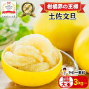 【日本ギフト大賞受賞】【予約早割10%OFF】園主こだわり土佐文旦 贈答用化粧箱 大玉 3kg～ (2025年2月1日発送開始 )文旦 ぶんたん ブンタン 高知 みかん 国産みかん 果物 柑橘 フルーツ ギフト 旬 冬 春 美味しい 甘い お取り寄 ふるさと納税 人気