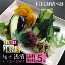送料無料 旬の浅漬 + 人気の 京漬物 5点セット (RL30 夏) 化粧箱入り お手軽セット 楽天市場限定商品 詰め合わせ 志ば漬 柴漬け すぐき 水なす かぼちゃ きゅうり / お取り寄せ グルメ 京都 大原 創業124年 老舗 御中元 お中元 土井志ば漬本舗