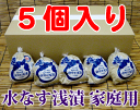 『送料無料!』(地域限定)丸作食品 お買い得ご家庭用大阪 泉州名産 水なす浅漬(ぬか漬)5個セットご注文後、10日〜25日程で配達いたします。※佐川クール便で発送いたします。水茄子 水ナス 漬物[qw]
