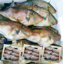 ウマヅラハギ 山形県産 500g4〜6尾×3パック 冷凍 鮮魚セット カワハギ ウマズラハギ【あす楽】