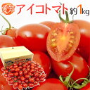 愛知県産 ”アイコトマト” 秀品 約1kg【予約 入荷次第発送】