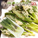 ”行者ニンニク(ぎょうじゃにんにく)” 約50g 大きさおまかせ 山菜【予約 2月以降】