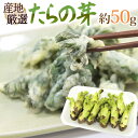 ”たらの芽(タラノメ)” 約50g 大きさおまかせ 山菜【予約 2月以降】