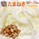 ”たまねぎ” 訳あり 約9〜10kg 大きさおまかせ 検品なし 九州・四国・淡路・北海道 産地厳選 【予約 入荷次第発送】 送料無料