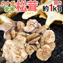 カナダ・北米産 ”松茸” 約1kg 開き 大きさおまかせ【予約 9月中下旬以降】 送料無料