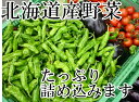 送料無料!冷蔵便込!北海道産四季のとれたて野菜詰め合わせセットお試し8種類入り