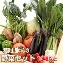 野菜詰め合わせセット 10種以上 送料無料【野菜セット】和歌山産中心 ギフト