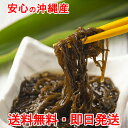もずく 塩もずく【即日発送★送料無料】沖縄産 300g×2個 送料無料※3セット購入で【+1袋サービス】※5セット購入で【+1袋・タレ1本サービス】 産地直送 スーパーフード フコイダン もずく酢 ダイエット 国産 酢の物 健康食品 ヘルシー お試し お取り寄せ