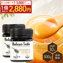 【最大3,000円!1個あたり2,880円】マヌカハニー UMF10+ MGO263 相当 250g 2個セット 残留農薬検査済 無農薬 ハニーバレー スーパーフード 送料無料 ニュージーランド産 なめらかでキャラメルのようなおいしい