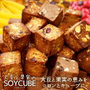 大麦と果実のソイキューブ 送料無料 選べる ヘルシー スイーツ ダイエット 置き換え SOYCUBE たんぱく質 大豆プロテイン 食物繊維 大豆 ダイエット ドライフルーツ アーモンド ビー・ドット・ラボ ビーラボ B.LABO 蒲屋忠兵衛商店