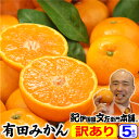 【予約販売】みかん 送料無料 訳あり有田みかん 和歌山ミカン たっぷり5キロ お買得♪お試しセール 産地直送 わけあり有田みかん(5kg)ギフト用に成れなかったご家庭用果実 紀伊国屋文左衛門本舗 温州みかん 和歌山県産 蜜柑【順次出荷】