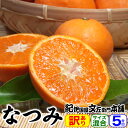 【順次出荷】紀州有田みかんの里から・なつみ(南津海)みかん(わけあり柑橘:買得品5kg)ご家庭用 ・この果実は種があります
