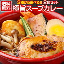 カレー レトルト【3種から選べる 北海道極旨スパイシー.スープカレー2食.】レトルトカレー スパイス スパイスカレー チキン 角煮 送料無料 食品【B】【★】