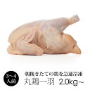 丸鶏 (丸鳥 中抜き 1羽) 紀の国みかんどり 鶏肉 1羽 【冷凍 中サイズ 約2.0kg～2.4kg】 鳥肉 ローストチキンに みかん鶏