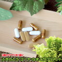 ふきのとう・ゴーヤ・なまこサプリメント90粒(各30粒ずつ)ペタシン サプリメント 蕗の薹 フキノトウ なまこ ゴーヤ 苦瓜 ゴーヤー 粉末 パウダー ふきのとうエキス バターバー butter bur