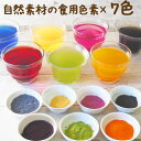 食紅 セット ナチュラルカラーパウダー スティック 1699円~ 着色料 粉末 食用色素 7色セット 赤 紫 黄 橙 青 緑 黒 色粉 キャラ弁 ハロウィン ハロウィーン フードカラー 野菜パウダー かぼちゃ 紅麹 ビーツ βカロテン 抹茶 バタフライピー 黒豆皮 アイシングカラー