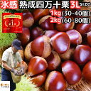 栗 生栗 1キロ 3l 氷感熟成で甘さがUP 高知 西土佐産 氷感熟成 四万十栗 約1kg 3Lサイズ 約30〜40個