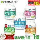 【★エントリーと店内3点購入でP10倍(10/24 20:00-10/27 9:59迄)】キシリトールガム 歯科専用 オーラルケア 歯科用 ボトルタイプ 1個(153g(90粒相当)) ボトルガム