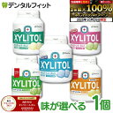 【★エントリーと店内3点購入でP10倍(10/24 20:00-10/27 9:59迄)】キシリトールガム 歯科専用 オーラルケア 歯科用 ボトルタイプ 1個(153g(90粒相当)) ボトルガム