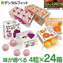 【★エントリーと店内3点購入でP10倍(10/24 20:00-10/27 9:59迄)】キシリトールガム 歯科専用 歯科医院専用トレーニング フーセンガム(4粒×24箱) グレープ味/オレンジ味 風船ガム キシリトール配合 ぶどう みかん