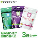 【★エントリーと店内3点購入でP10倍(10/24 20:00-10/27 9:59迄)】キシリトールガム 歯科専用 ポスカ・エフ(POs-Ca F)パウチタイプ 100g×3袋 歯科専売品【メール便選択で送料無料】