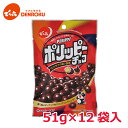 ポリッピー チョコ 51g×12袋入【ケース販売】でん六 ピーナッツ チョコレート