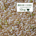 米 玄米食 調整済 4年産 農家の食べているおいしい玄米10kg (5kg×2袋 小分け)オリジナル【米10kg】