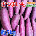 さつまいも 3KG/5KG 訳あり品 紅はるか 紅東 栗かぐや シルクスイート あまはづき サツマイモ 焼き芋に 千葉県・茨城県産地厳選 美味しい やきいもに 食物繊維 美容 スイーツ
