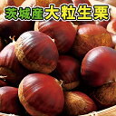 【楽天1位*茨城産】栗 生栗 国産 茨城産 秀品 1kg 訳あり品 L 2L 3L 和栗 国産 旬の果物 なまぐり 食品ロス 栗ご飯 栗きんとん モンブラン 栗羊羹 お菓子作り スイーツ
