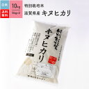 特別栽培米 令和4年産 滋賀県産 キヌヒカリ 米 10kg 送料無料