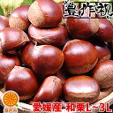 愛媛産 生栗 良品 約1kg(約15〜25個)【2品で+1kg(3kgセット) 3品で+2kg(5kgセット)】L〜3Lサイズ【送料無料(一部地域除く)】 和栗 国産 旬の果物 なまぐり 食品ロス 栗ご飯 栗きんとん モンブラン 栗羊羹 お菓子作り スイーツ マロン コロナ おうち時間応援 産地直送