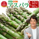 【ふるさと納税】ランキング常連【26年先行予約】露地物朝採りアスパラ 鮮度保持フィルム入り(5月中旬発送開始予定)_01593 | 野菜 アスパラガス グリーンアスパラ 旬 とれたて お取り寄せ 産地直送 小分け 保存 旭川市 北海道 送料無料