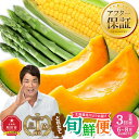 【ふるさと納税】ランキング1位獲得!【26年発送先行予約】とれたて旬鮮便~北海道旭川市から旬の定期便~ _01107 | お楽しみ 大人気 ランキング 野菜 グリーンアスパラ メロン ゴールドラッシュ 赤肉 フルーツ 果物 2玉 旭川市ふるさと納税 北海道