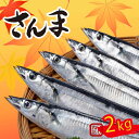 【ふるさと納税】 訳あり さんま 約2kg 冷蔵 秋刀魚 サンマ 生サンマ 海産物 海鮮 魚介 魚介類 大船渡 三陸 岩手県 国産 発送期日 2025年9月〜2025年11月下旬