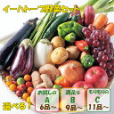 【ふるさと納税】いわて花巻産 イーハトーヴ野菜セット ≪選べる内容量! お試しセット(6品〜) or 満足セット(9品〜) or もりもりセット(11品〜)≫ 旬 野菜 果物 お楽しみ