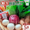 【ふるさと納税】農園自慢 彩り 野菜セット( 5品 以上〜)旬 野菜 詰め合わせ シェフ御用達 国産 岩手 うるおい春夏秋冬 国産 やさい セット 岩手県 北上市 A0235 季節の野菜 西洋野菜 紫人参 黄色人参 丸なす 水なす 長なす とうがらし カラフル 野菜 お試し 送料無料
