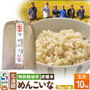 【ふるさと納税】【特別栽培米 炭壌米 めんこいな】令和5年産 玄米 10kg
