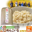 【ふるさと納税】【特別栽培米 炭壌米 めんこいな】令和5年産 玄米 10kg 3袋