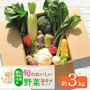 【ふるさと納税】旬のおいしい野菜詰合せセット 約3kg