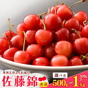 【ふるさと納税】《先行予約》 令和8年産 山形の さくらんぼ 選べる! 500g / 1kg 「 佐藤錦 」 秀品 L以上 山形県 2026年産【2026年6月上旬頃〜6月下旬頃発送予定】 ※配送不可 沖縄・離島フルーツ 果物 果実 くだもの サクランボ 農協 東北 山形 寒河江 JAさがえ西村